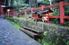 日光けっこう