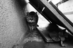 アジトに招かれて