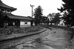 ドロドロな宮島