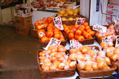 鎌倉における「みかん」