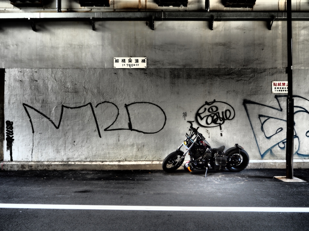 ミスター・ハーレー