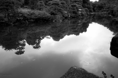 なんとなく映りこみ