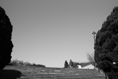 あの丘を越えよ