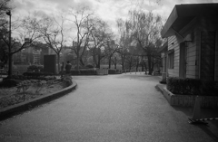 何かが起こりそうな日曜日