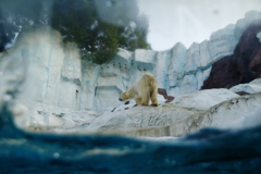 水の中から見たあいつ