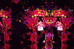 おっとごめんよ・・本物はどっちだ？