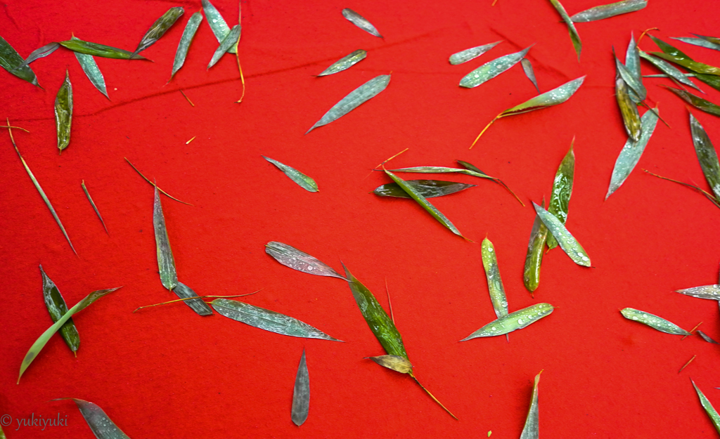 笹の葉サラサラ