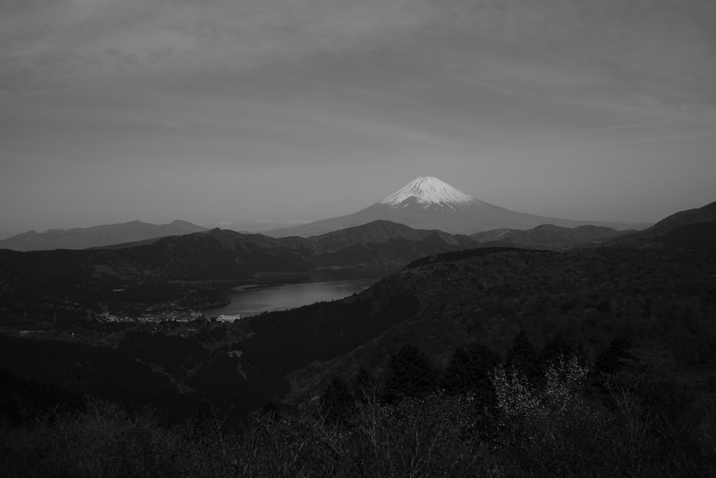 なんとなく富士山が居た
