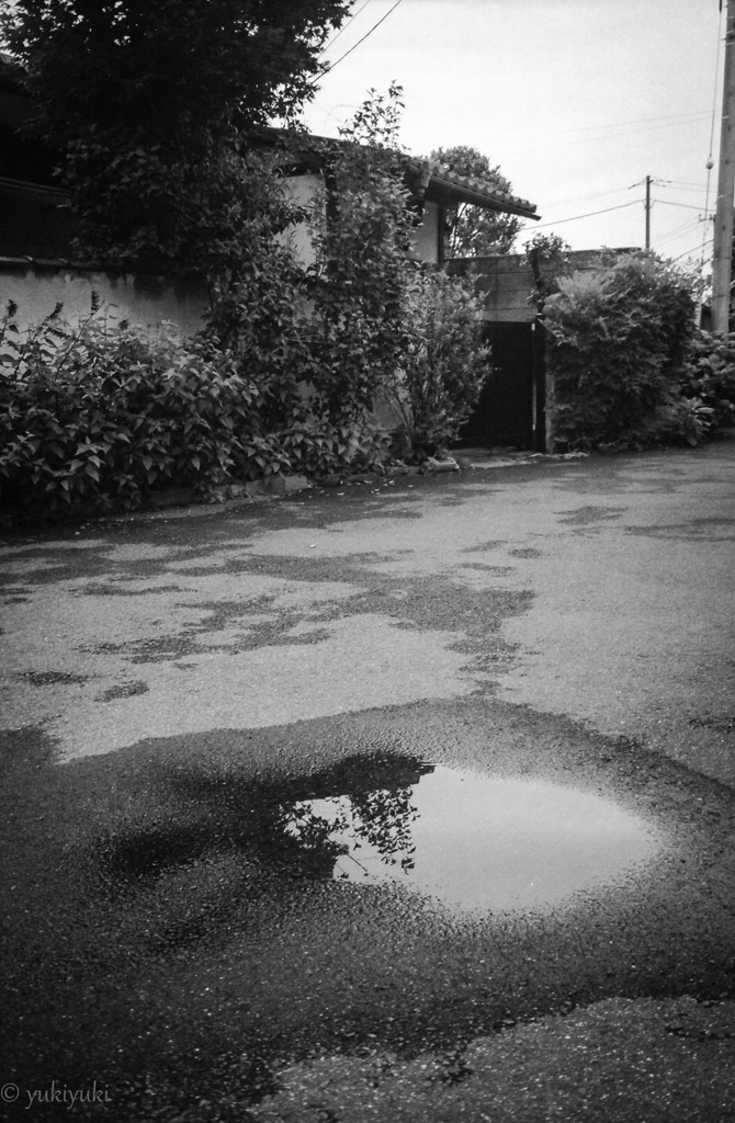 水たまり