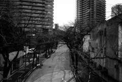 ＮＯＢＯＤＹ　ＳＵＮＤＡＹ