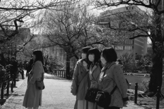 ３人寄れば何とやら