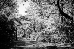 競歩で急ぐ人、ブラブラ歩いている俺