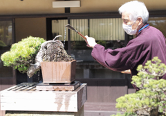 おっさんの雫