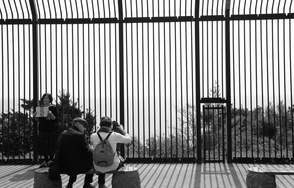 私もあなたもフェンスの中