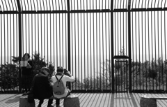 私もあなたもフェンスの中