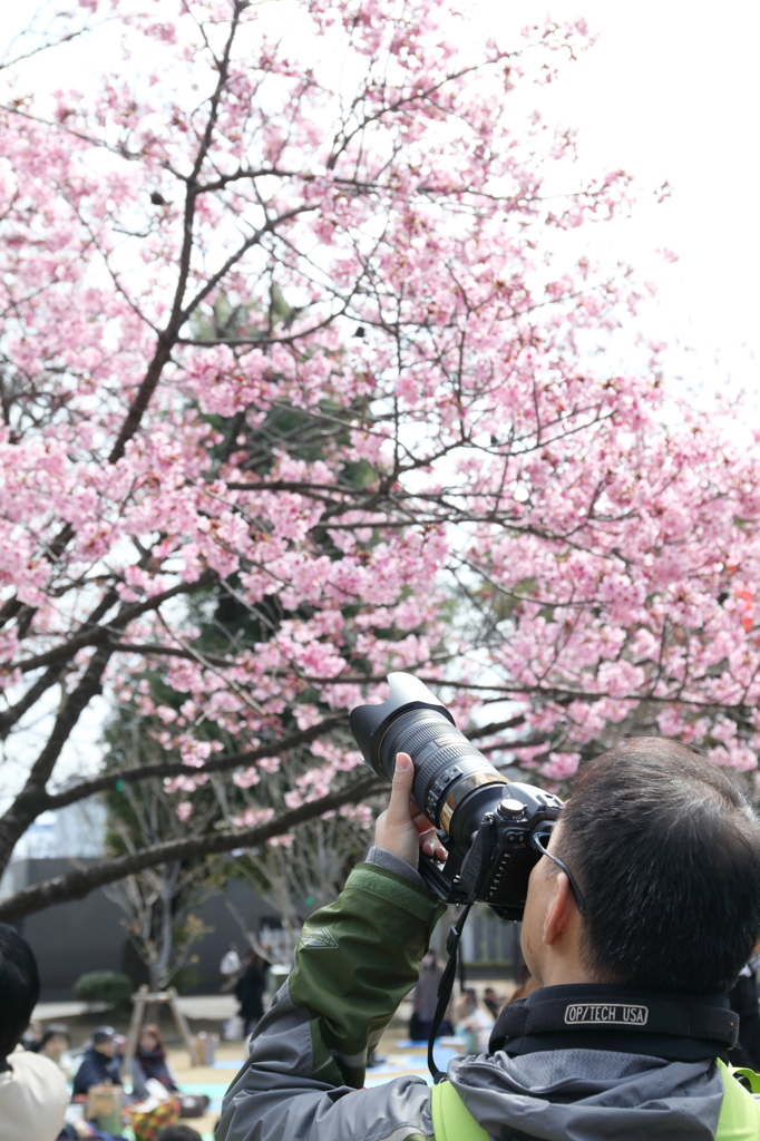 ＢＹ　ＴＨＥ　NIKON