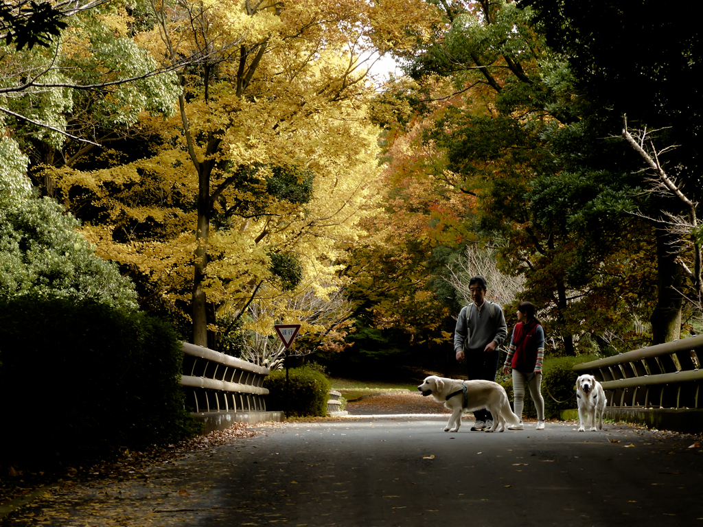 ある夫婦の日常