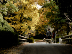 ある夫婦の日常