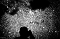 蜘蛛、変な水面を撮る