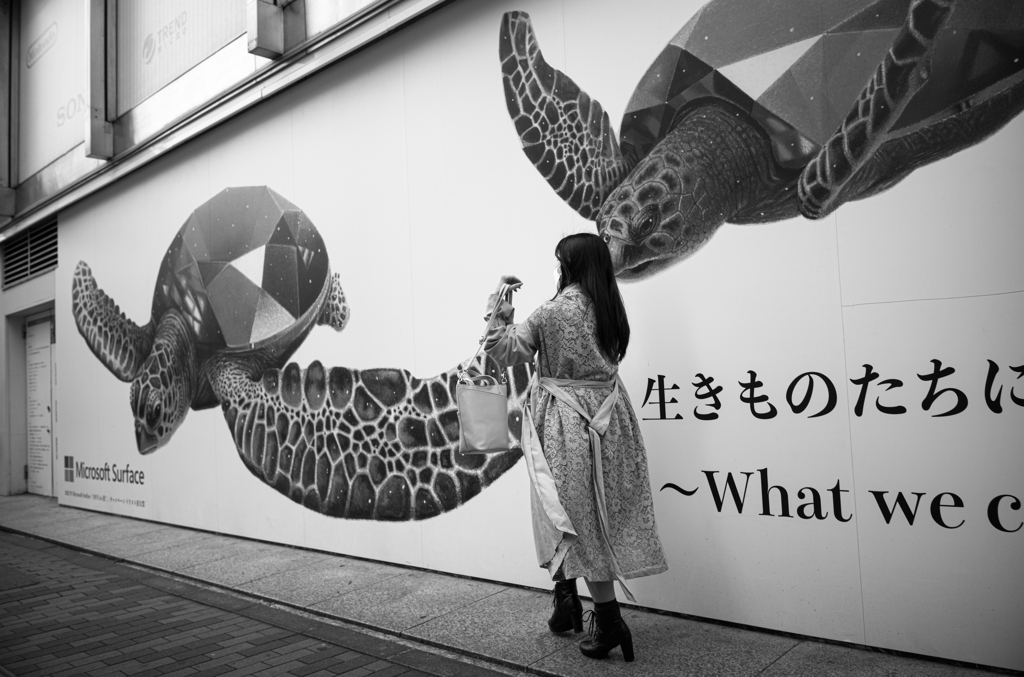カメと戯れて