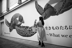 カメと戯れて