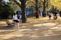 ゆきゆきが撮る秋