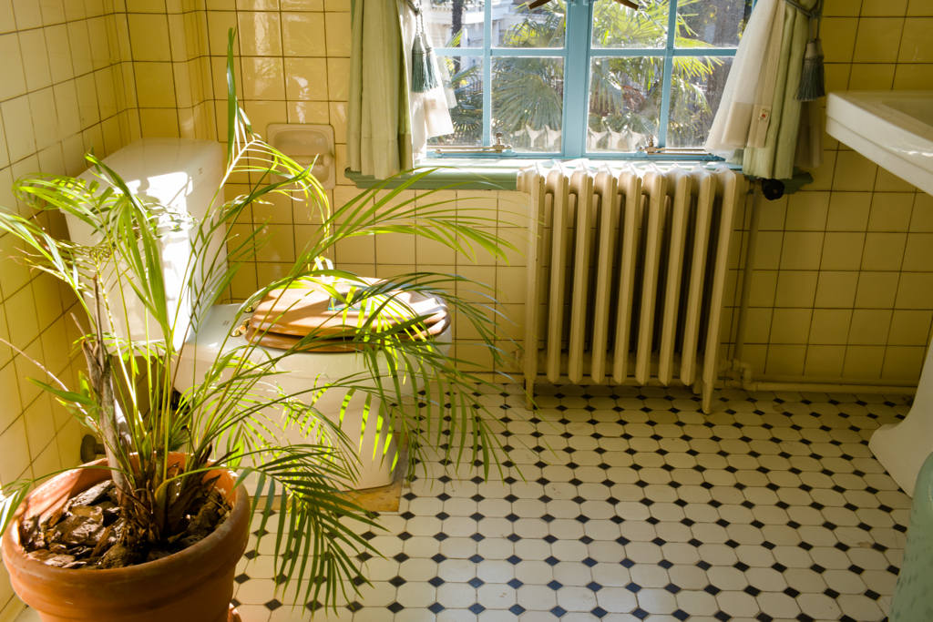 ウンコしようか