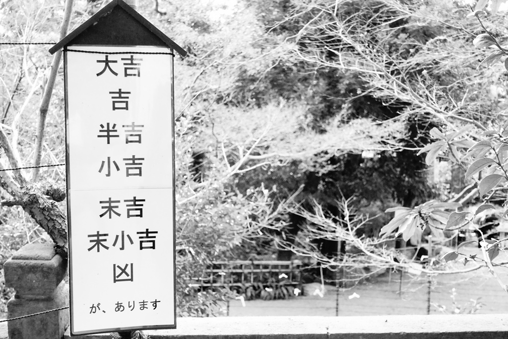 あなたはどれだ？