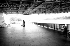 犬だけが振り向いた