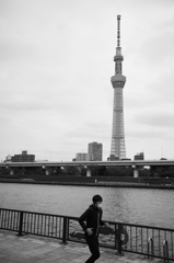 走れば分かるさ