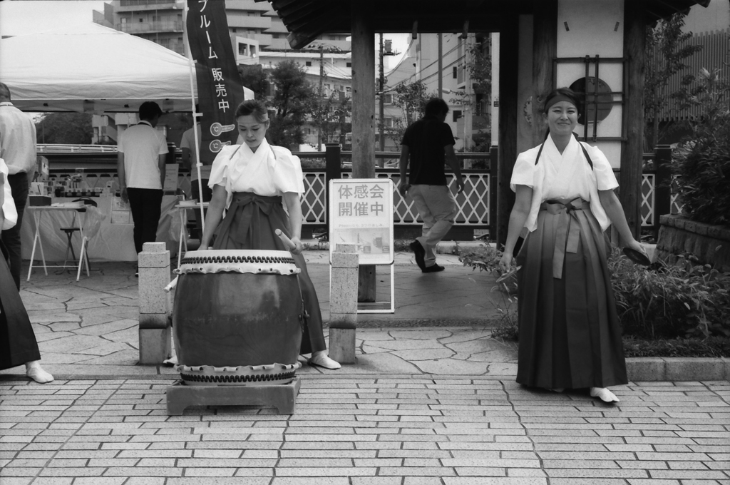 美の競演
