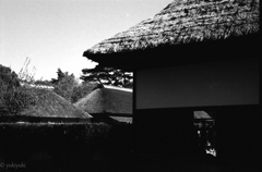 村の光景