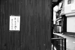 シカに餌をくれるな
