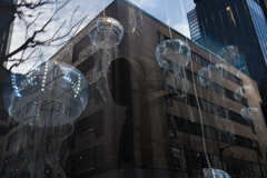 クラゲに囲まれた顔無し