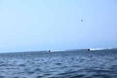 青いモーターレース