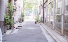 ６０年前のカメラにて