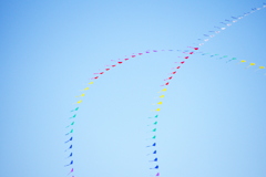 届かない夢でも無いよりは良い