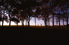 夕方まで追いかけたあの日