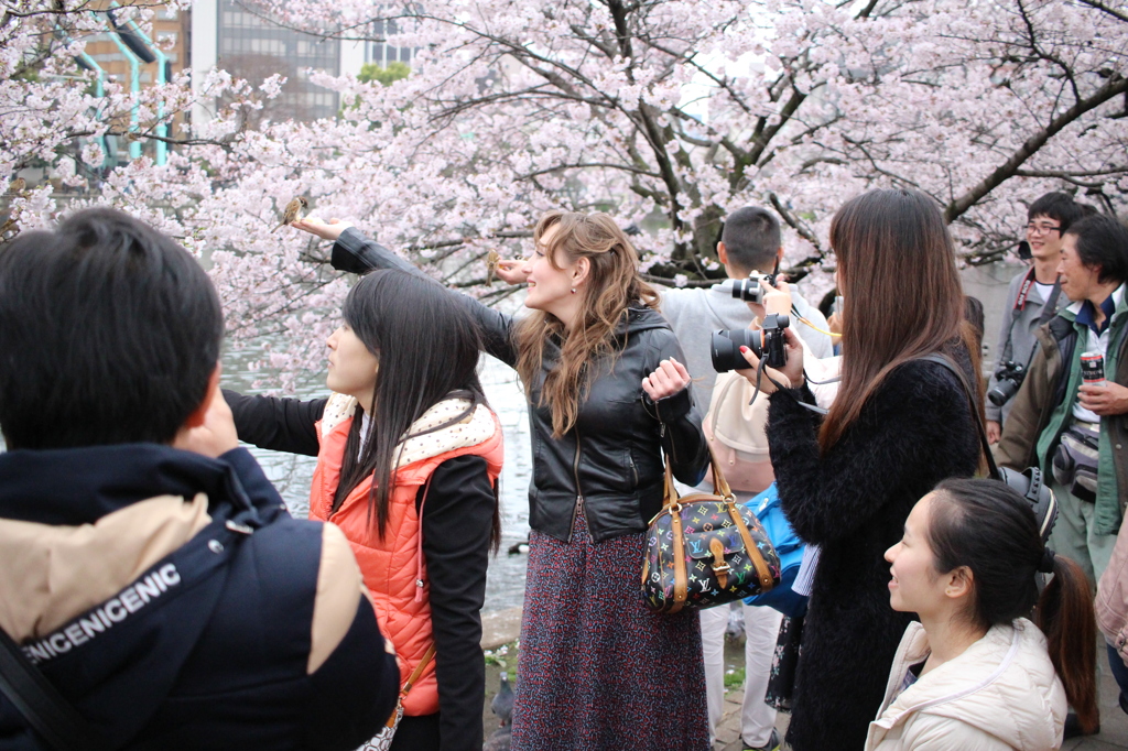 スズメが飛んだ日