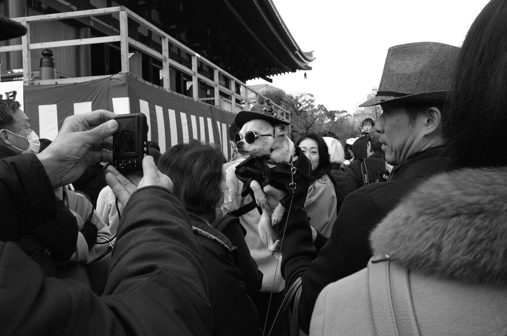 もう戻らない日