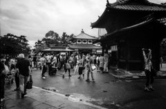 人々の交錯　　宮島物語