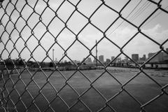 フェンスの向こうは広かった