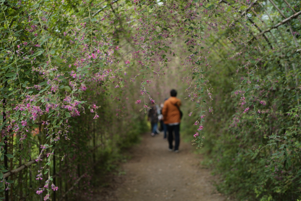 男の花道