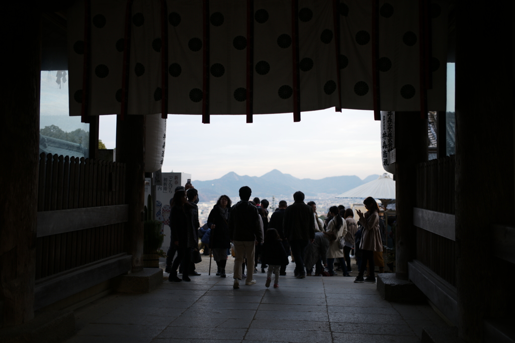 インフルエンザで撮ってみた　四国