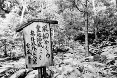 参拝以外でも行ってしまいました