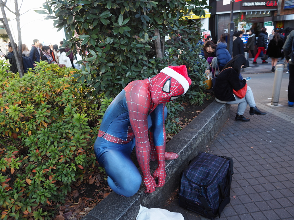 蜘蛛からのメリークリスマス