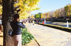 素敵な紅葉