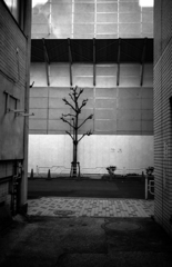 裏路地から出た時、閑散としていた