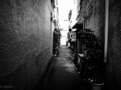Back alley