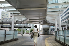 夏の人